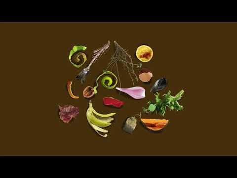 Campaña TV Gobierno de Navarra — MonkeyToons